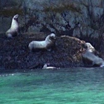 Screen Shot 2016-07-11 at 11.41.50 AM.jpg